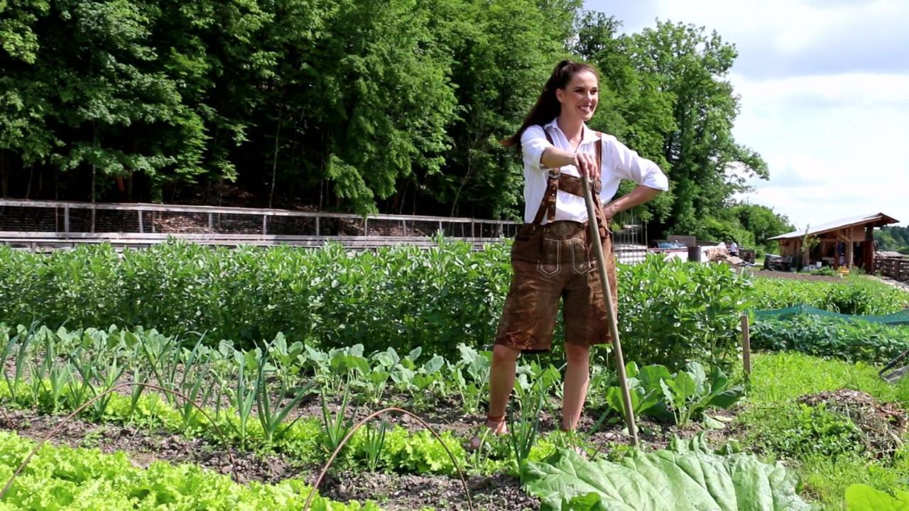 Slovenia Eco Resort Stahovica المظهر الخارجي الصورة