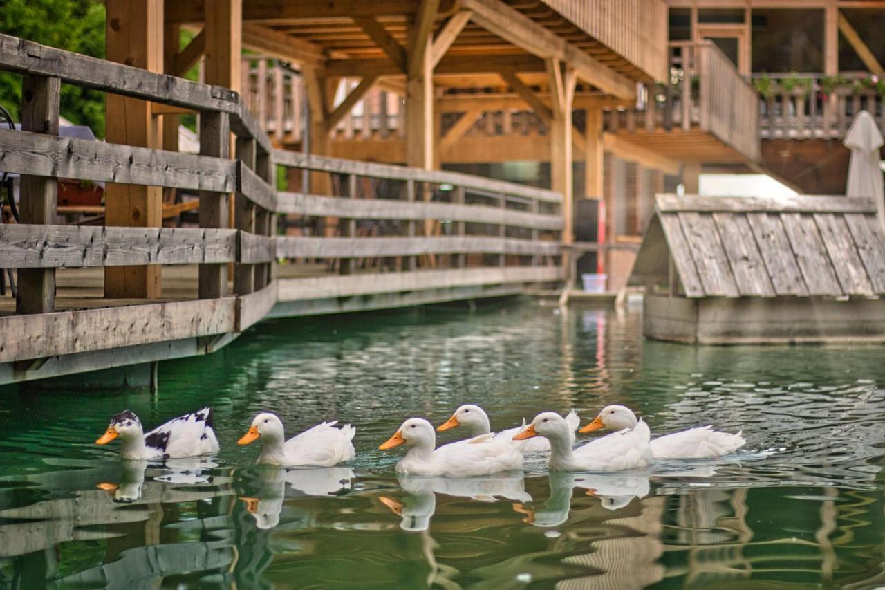 Slovenia Eco Resort Stahovica المظهر الخارجي الصورة