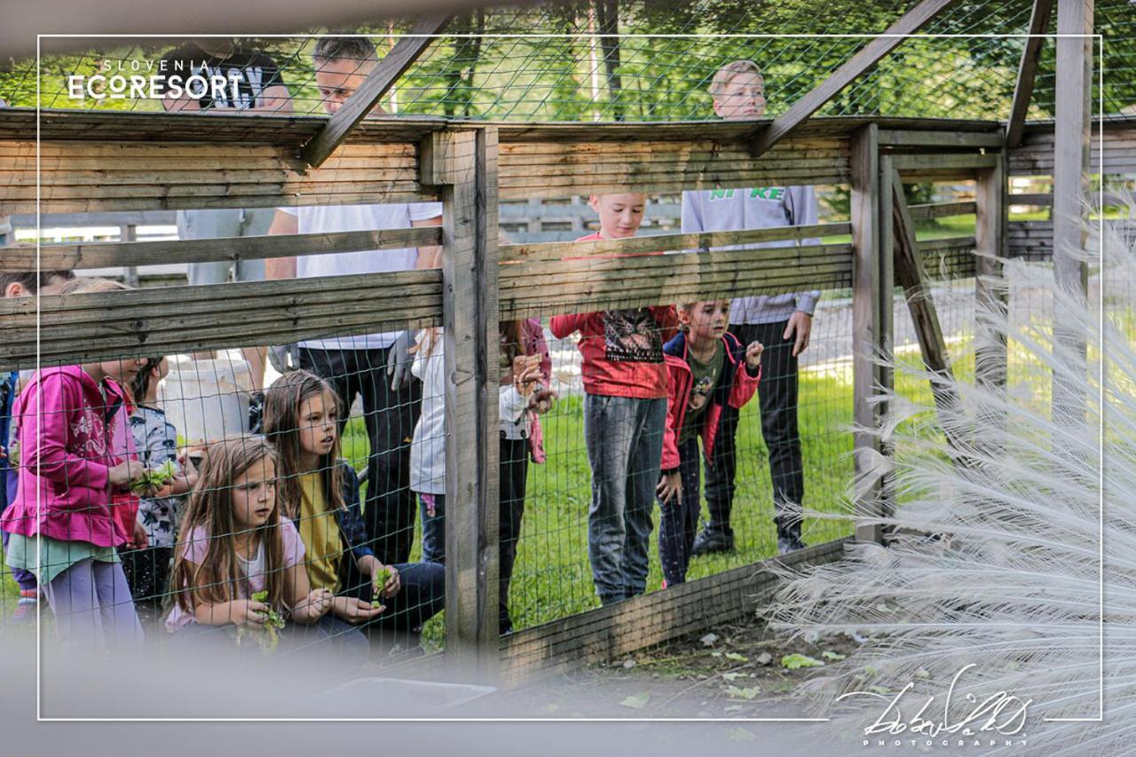 Slovenia Eco Resort Stahovica المظهر الخارجي الصورة
