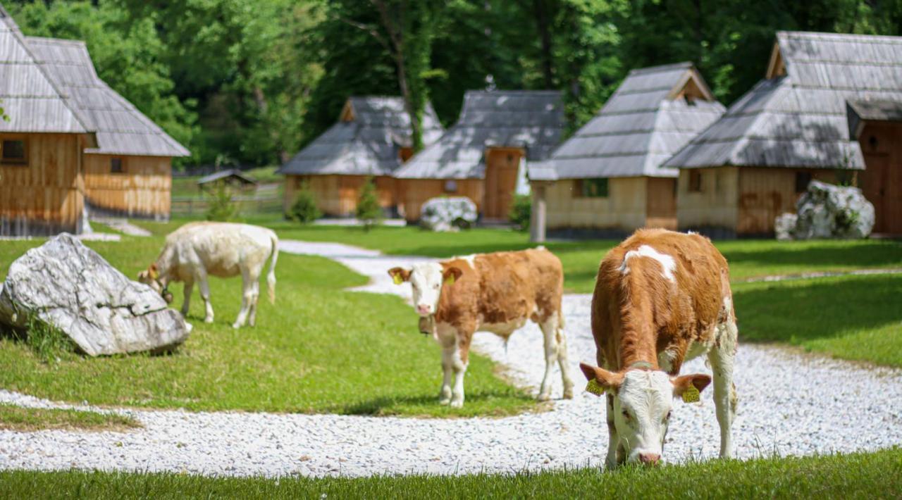 Slovenia Eco Resort Stahovica المظهر الخارجي الصورة