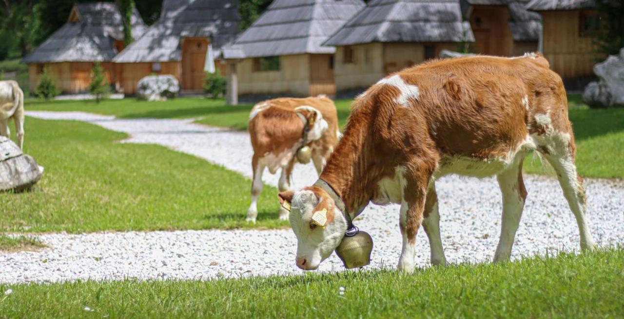 Slovenia Eco Resort Stahovica المظهر الخارجي الصورة